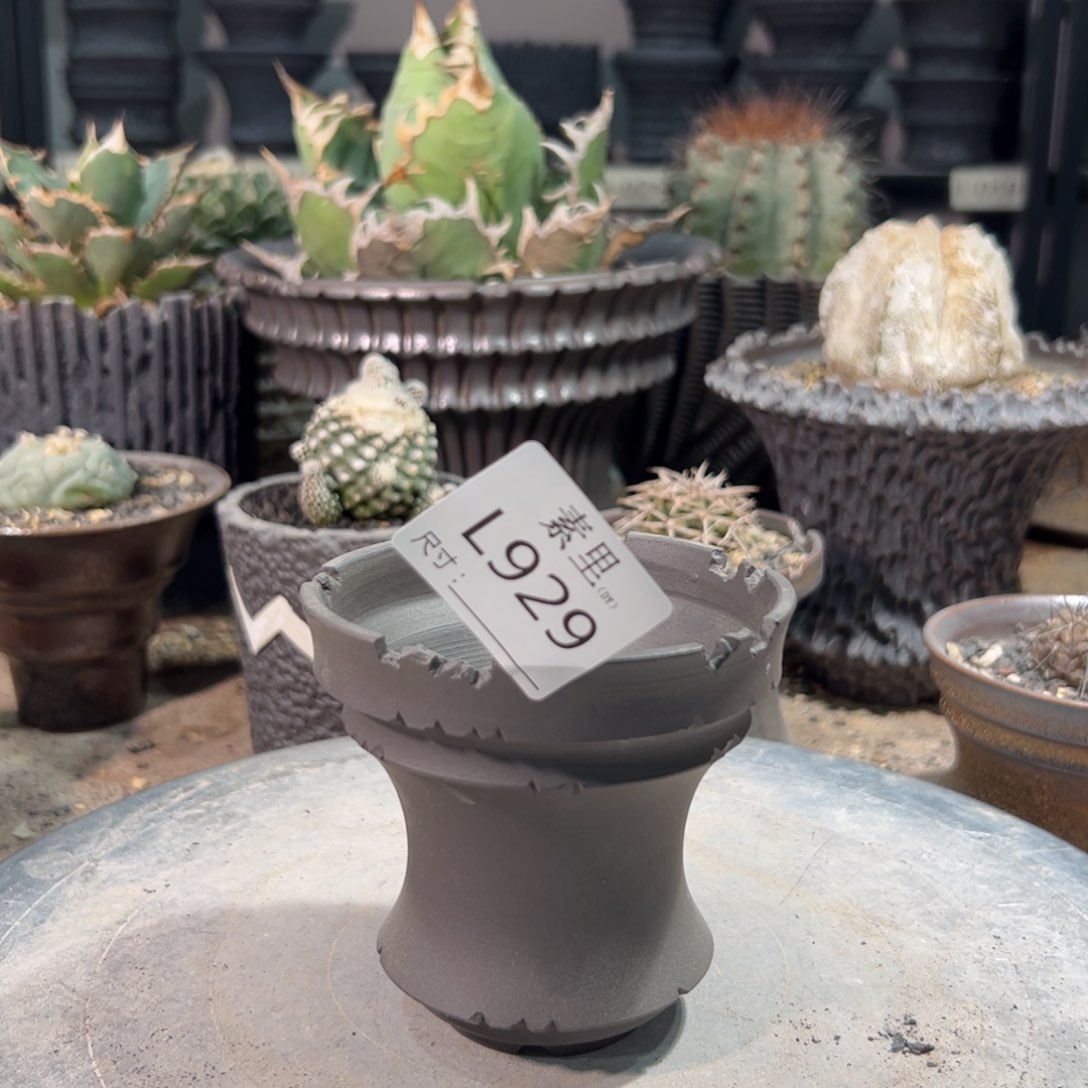 景德镇手工素里内口9.5高9