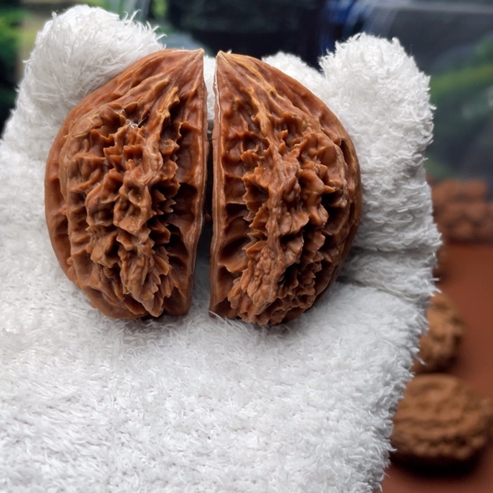 木***宇文玩核桃吊坠秦核等人的故事也在这里