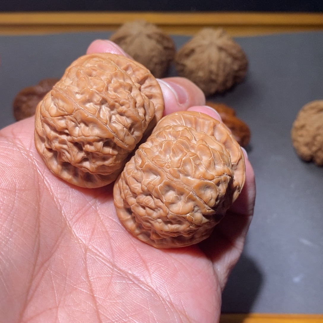 核桃40核王全品核桃