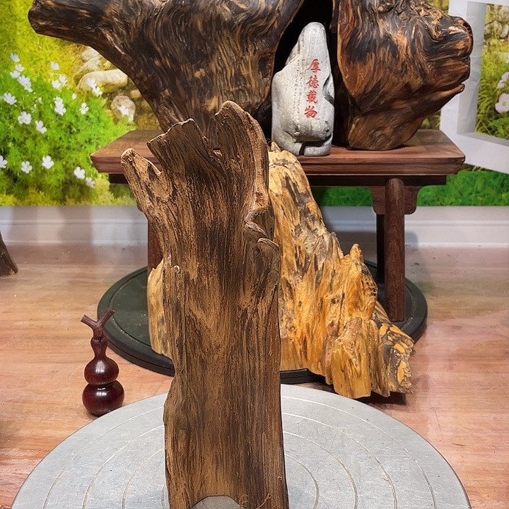 5***0木每一个人都是20