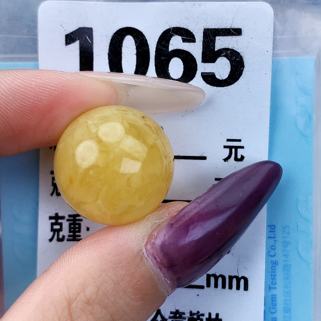 琥珀未镶嵌珠宝奇石19.3植物