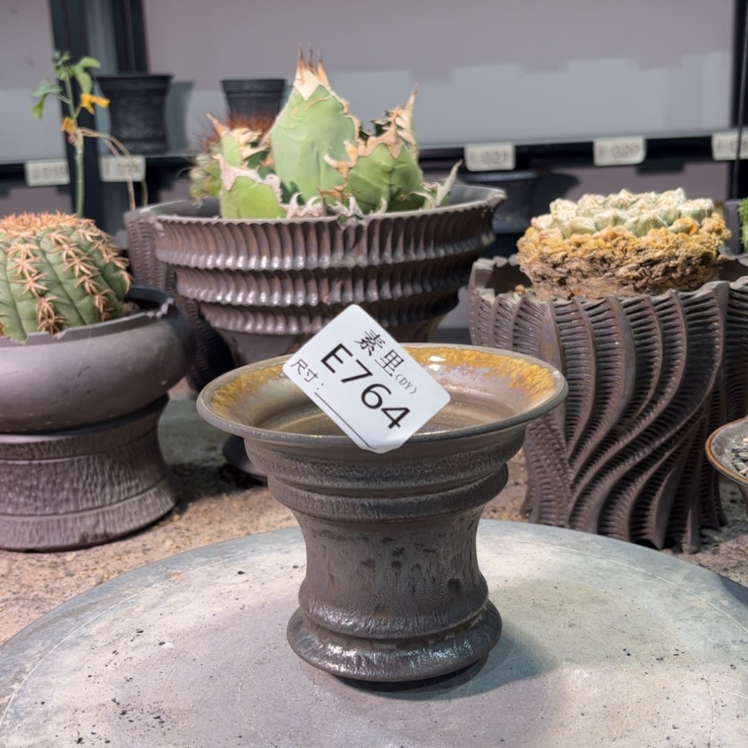 景德镇手工素里内12高9.5