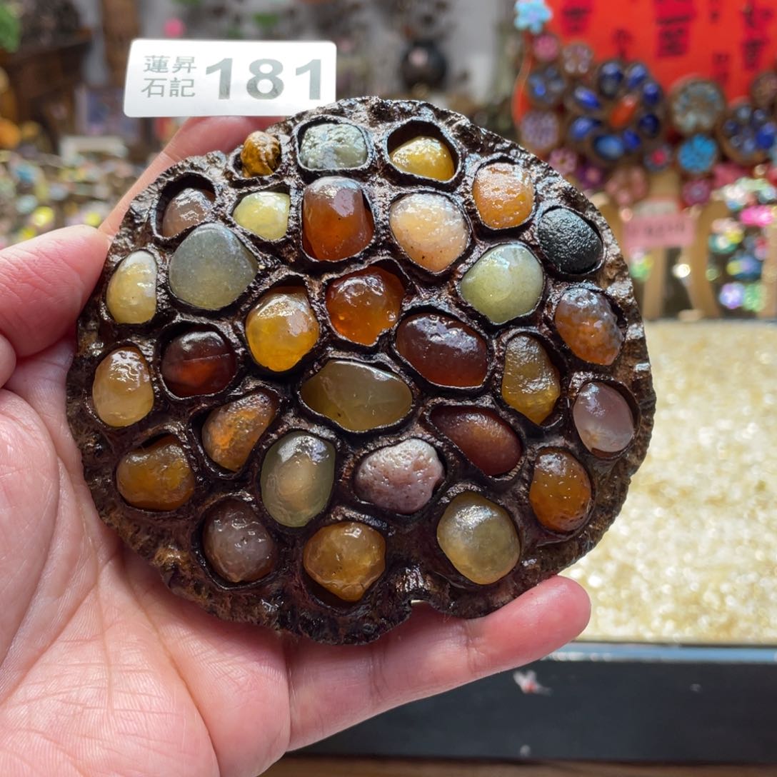 核桃木/黑胡桃（胡桃木）181