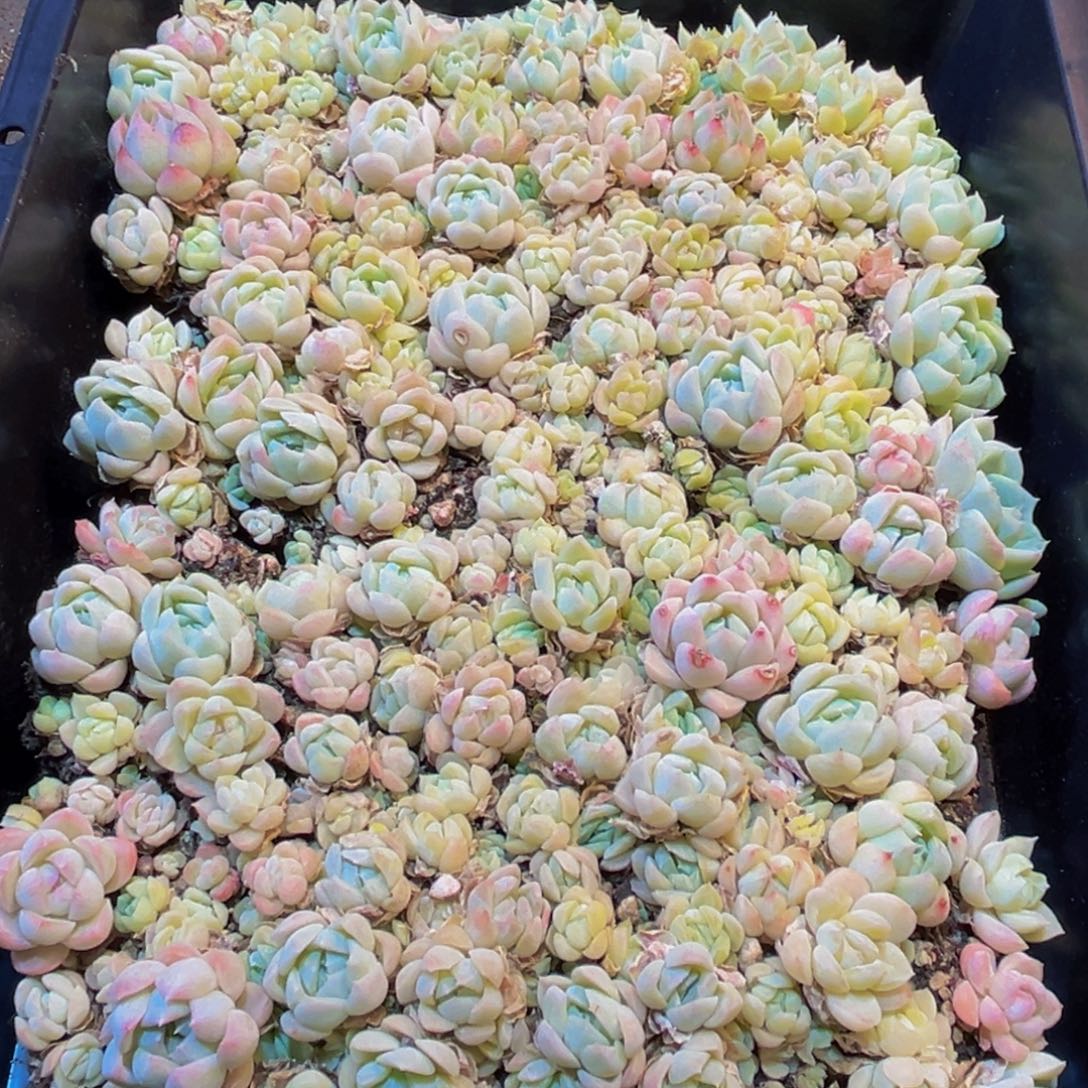 640的人了还在看电视