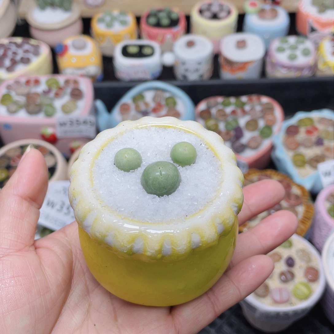 w3563 -零下地区拍保温箱-15支持寄养