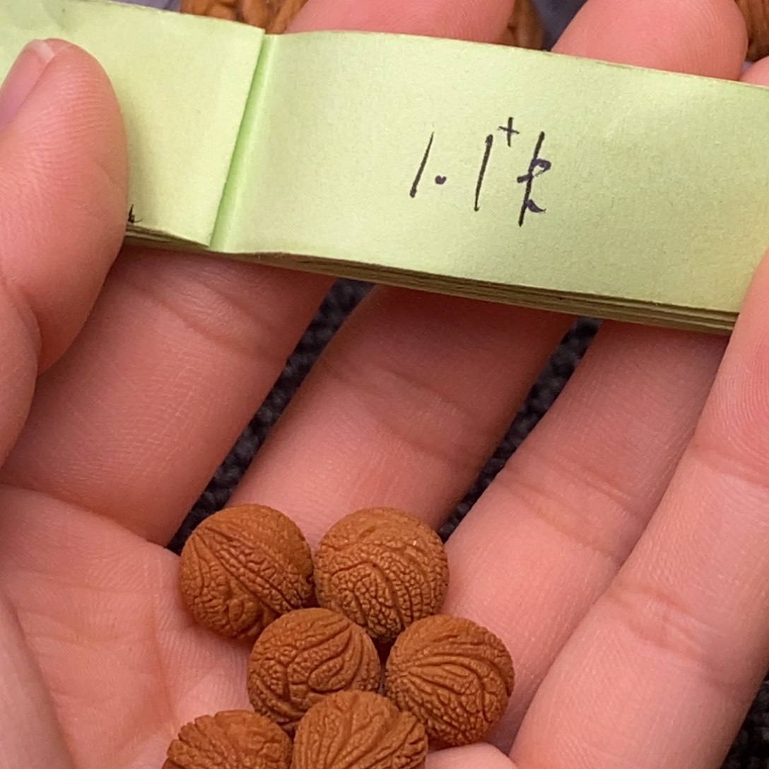 秦岭山脉龙纹桃核 21