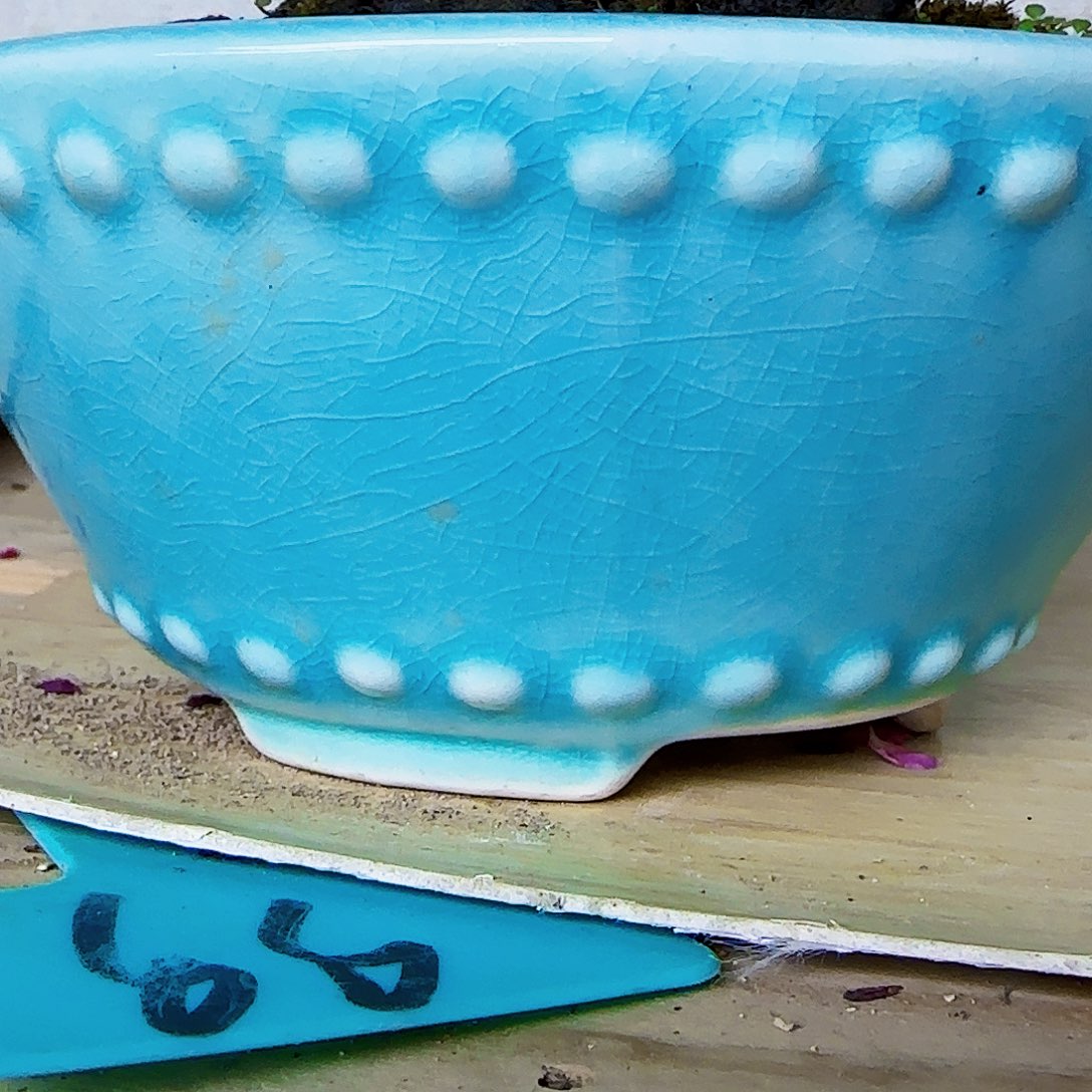 红陶决****部z ch k k m