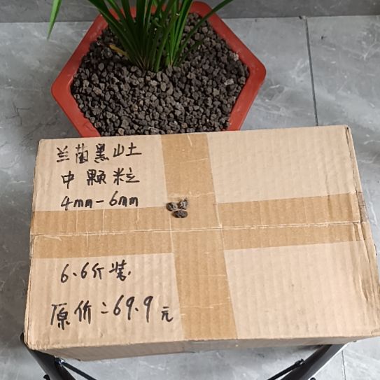 可***猪兰菌黑山土中颗粒6.6斤