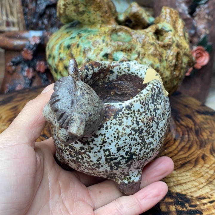 溜***啊陶瓷制品不退不换