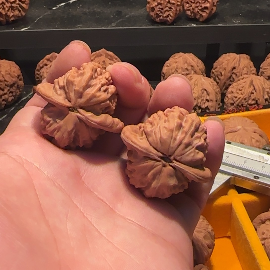 桃核把件大红袍核桃37