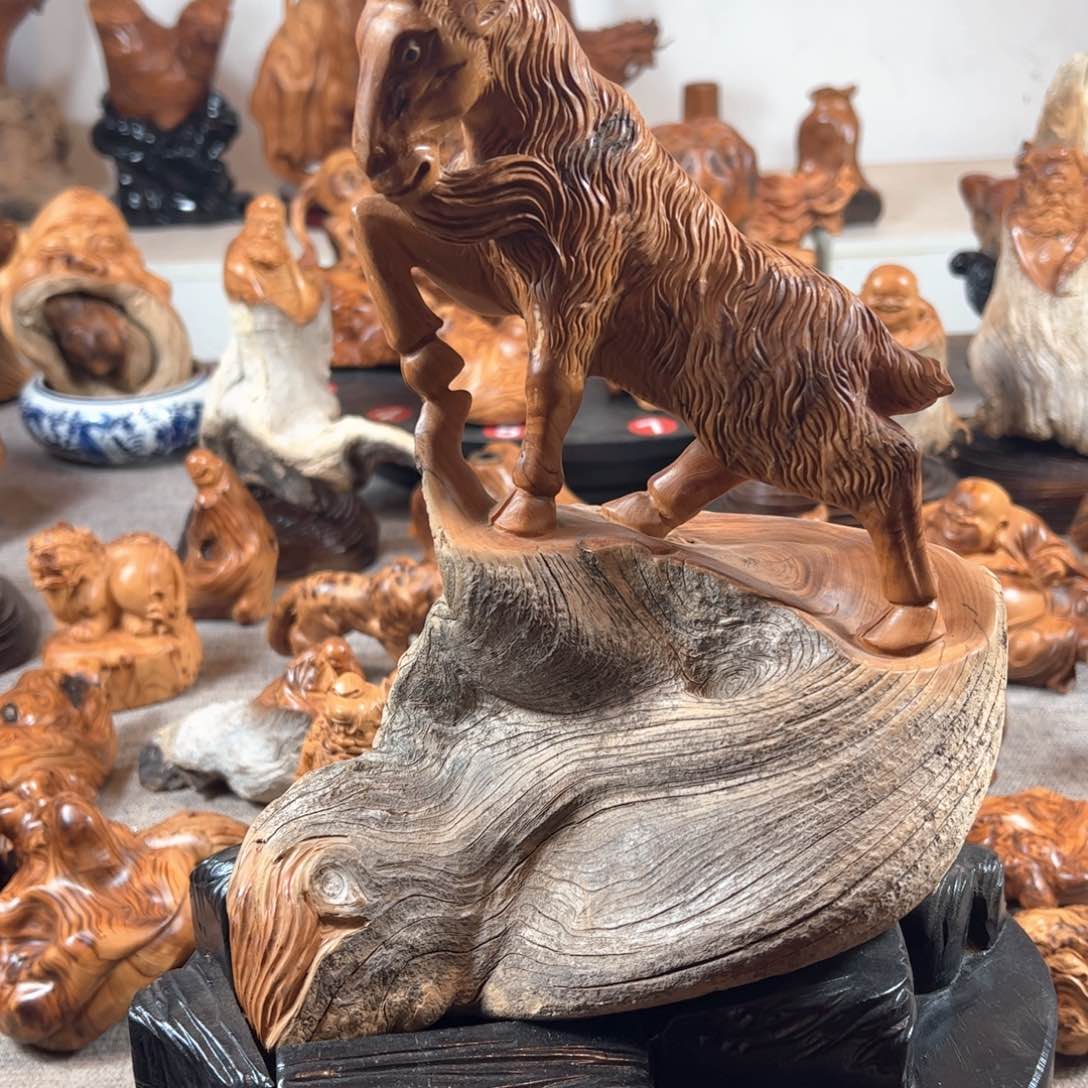 柏木（崖柏）小*5522663399