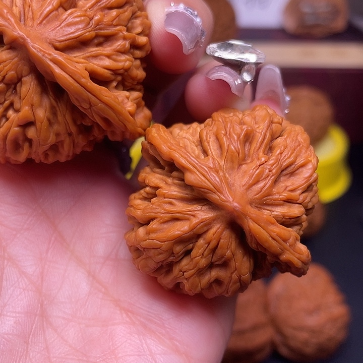 芝***坞吊坠桃核四座楼福利