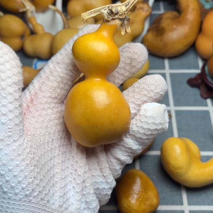 1***道葫芦666666666666666