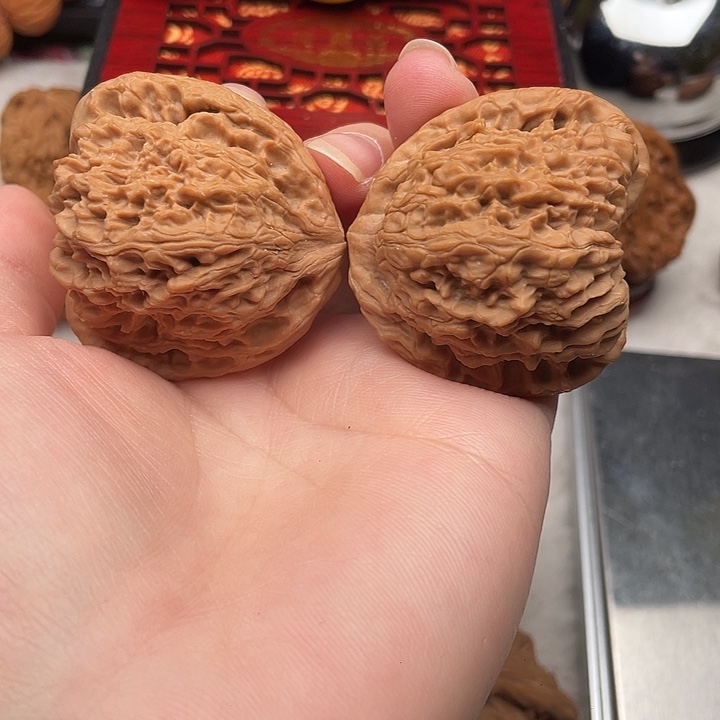 43大蝴蝶 全品 尖不一样