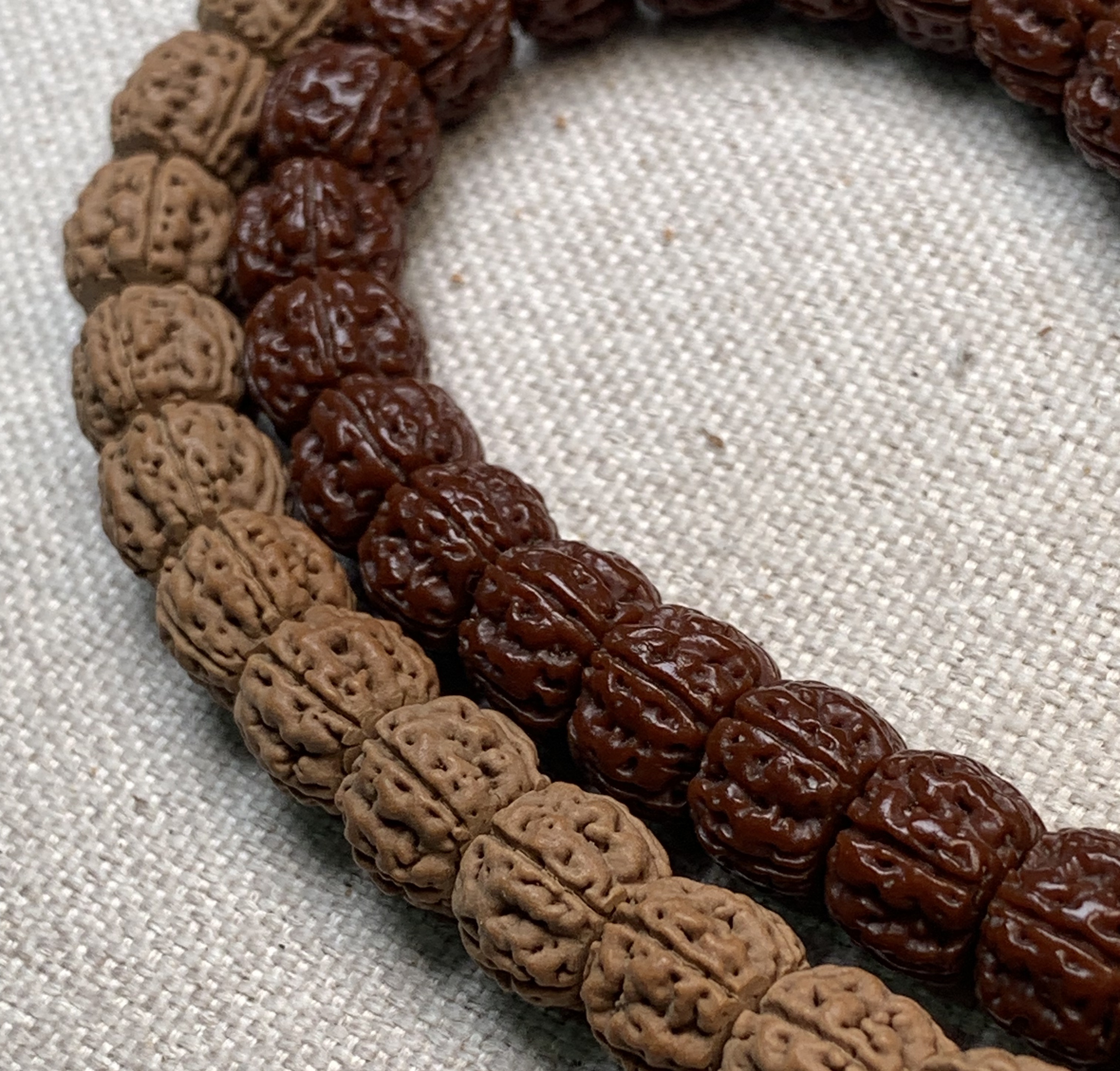 【吊哥甄选】龙切盘龙王单圈小金刚菩提