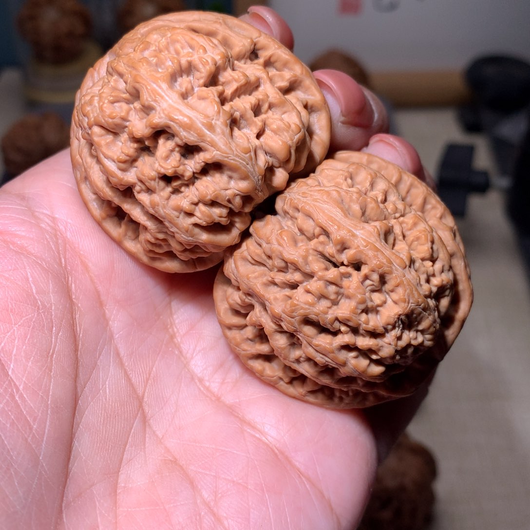 文玩核桃把件平谷大粗筋