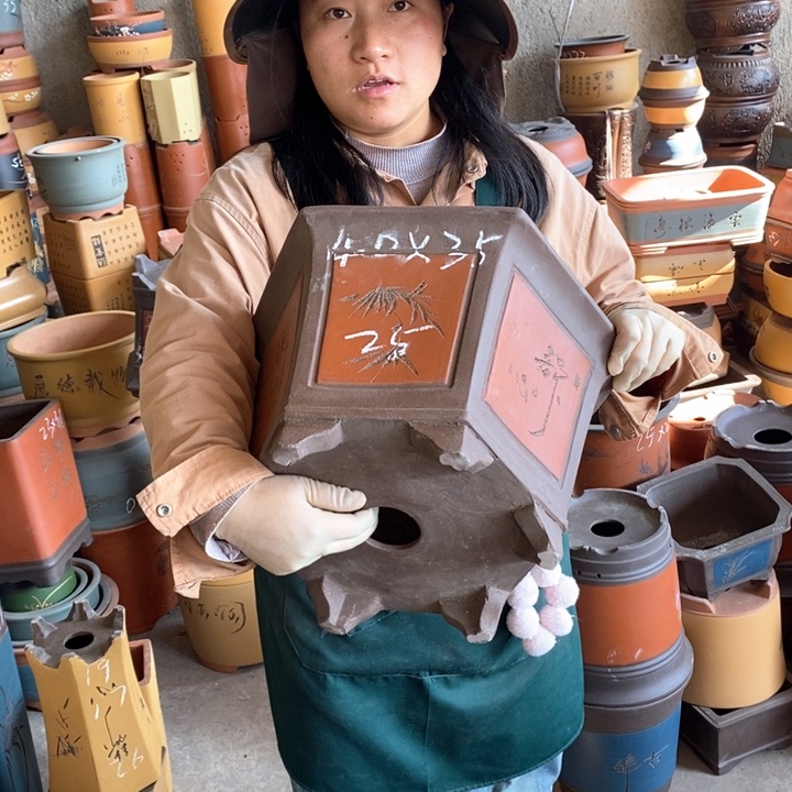 紫砂花盆盆栽花卉苗木种植