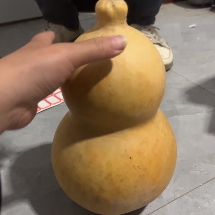 咕噜咕噜咕噜咕噜咕噜咕噜