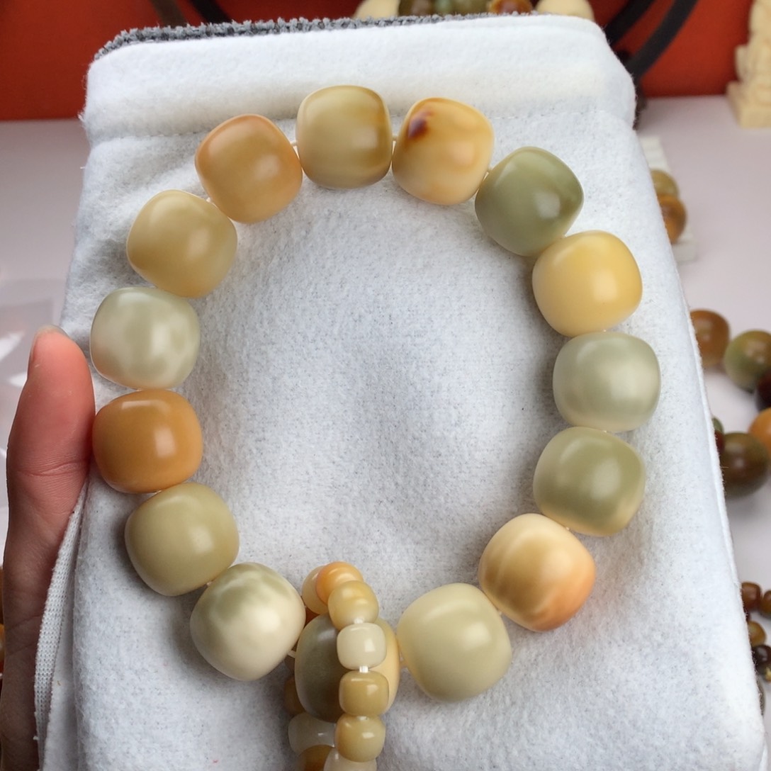 菩提根/象牙果吊坠2.3 全品