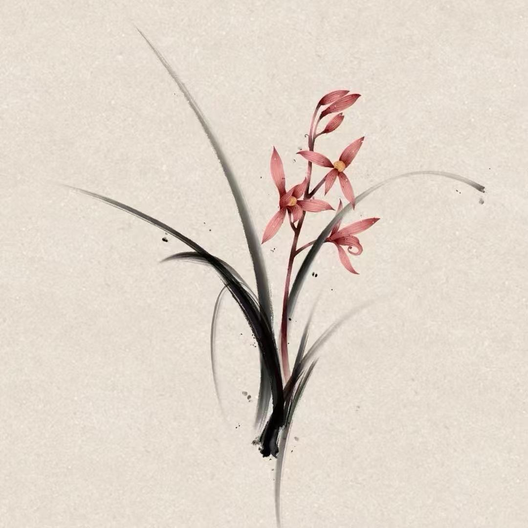 福袋价值118名贵兰花一颗（不支持指定发货）