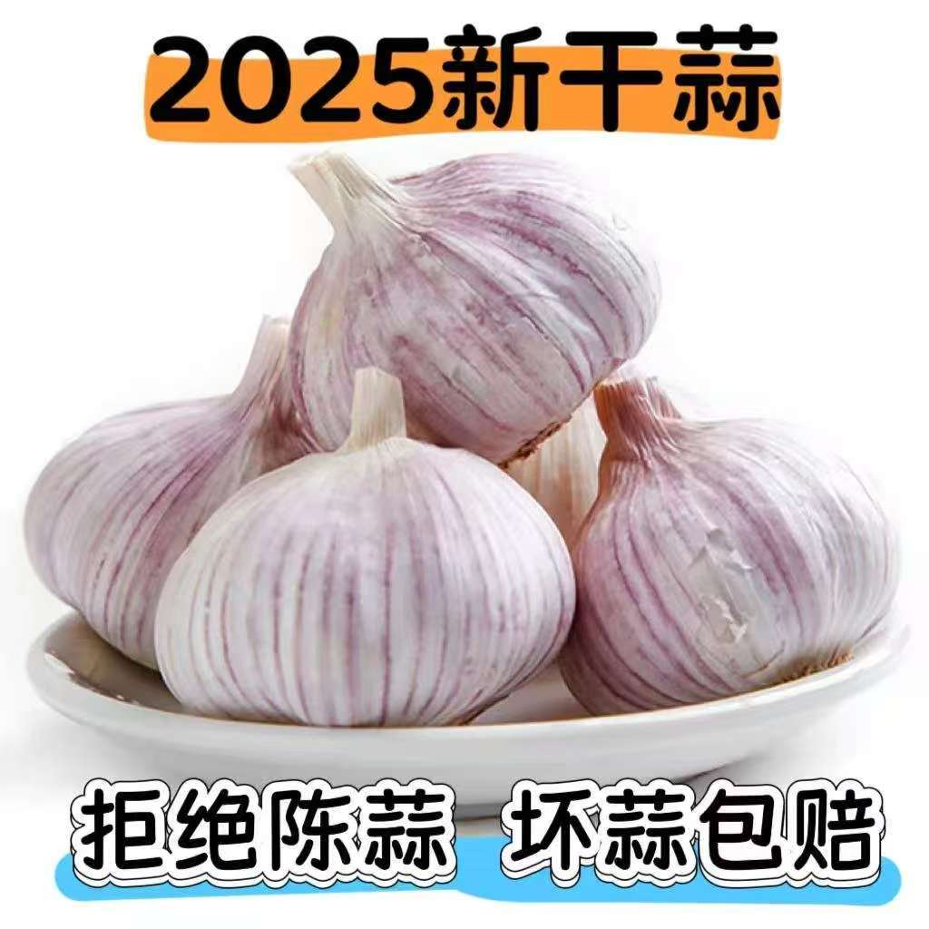 新干蒜大头蒜5斤干蒜紫皮白皮大蒜头干蒜多瓣