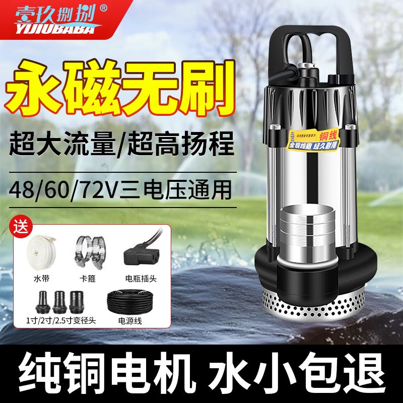 无刷直流潜水泵48V60V72V电动车电瓶车专用抽水泵农用浇菜灌溉机