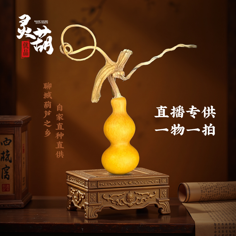 【直播专享】灵葫优品-葫芦