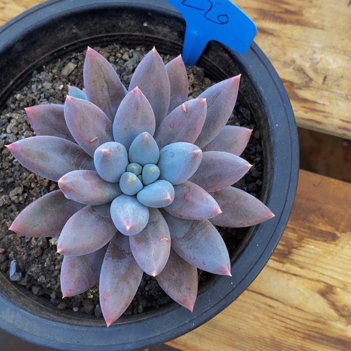 在家闲不住也可以轻松