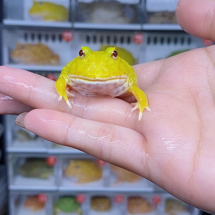 特价秒杀现货特价