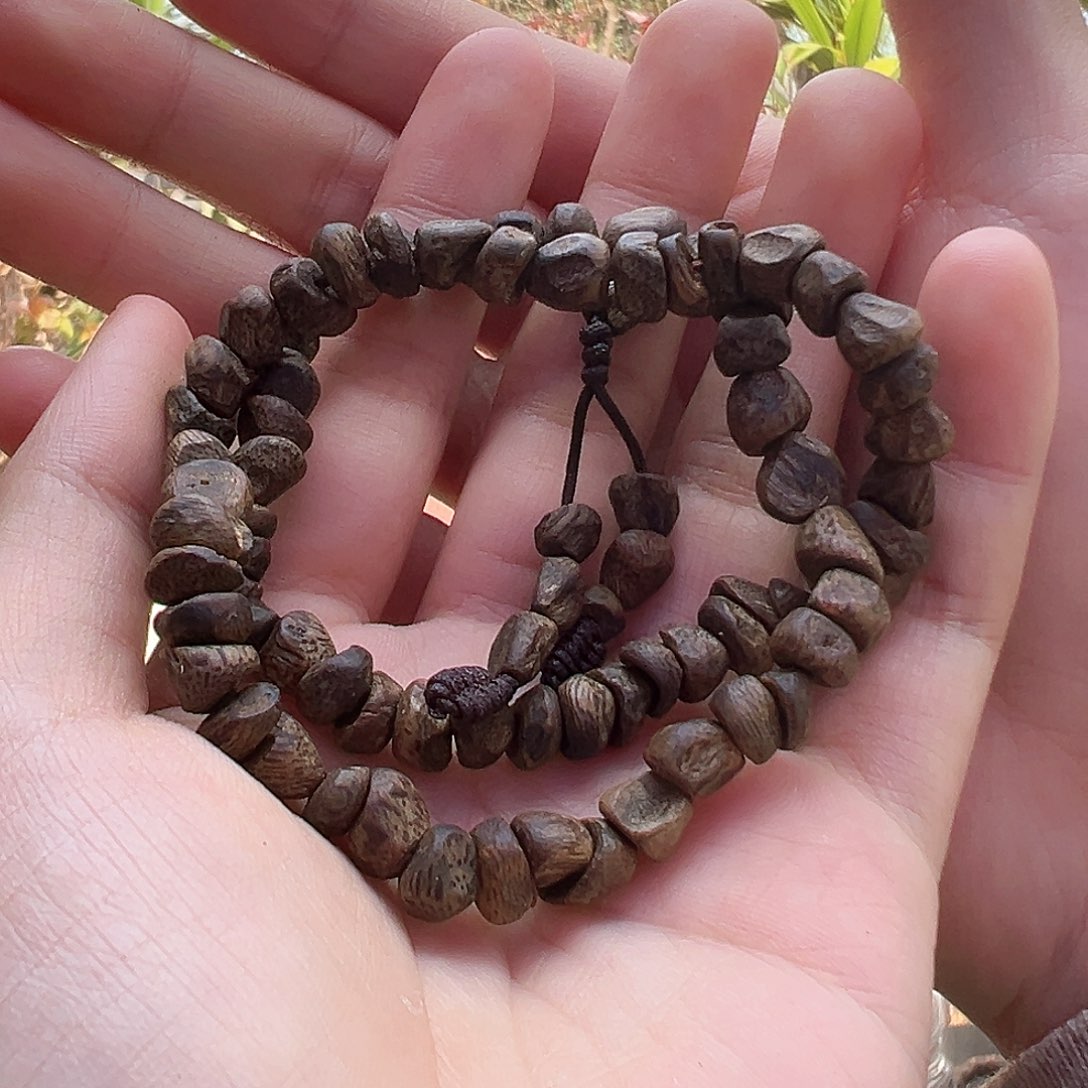 沉香手串沉水原母树张勺子多样性发货一条11克➕