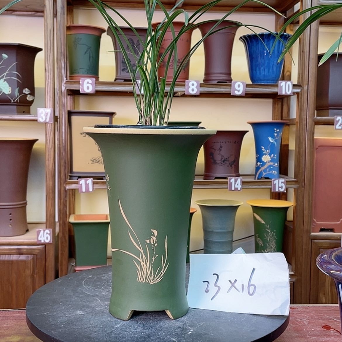 【闪购商品】紫砂花盆兰花599876543334678876