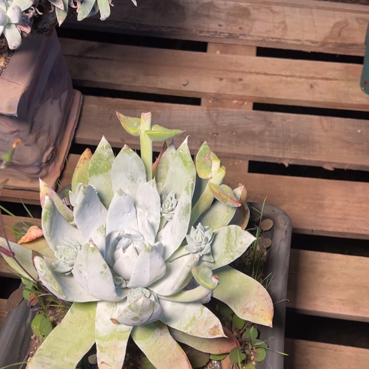 052哈哈哈哈哈哈哈哈