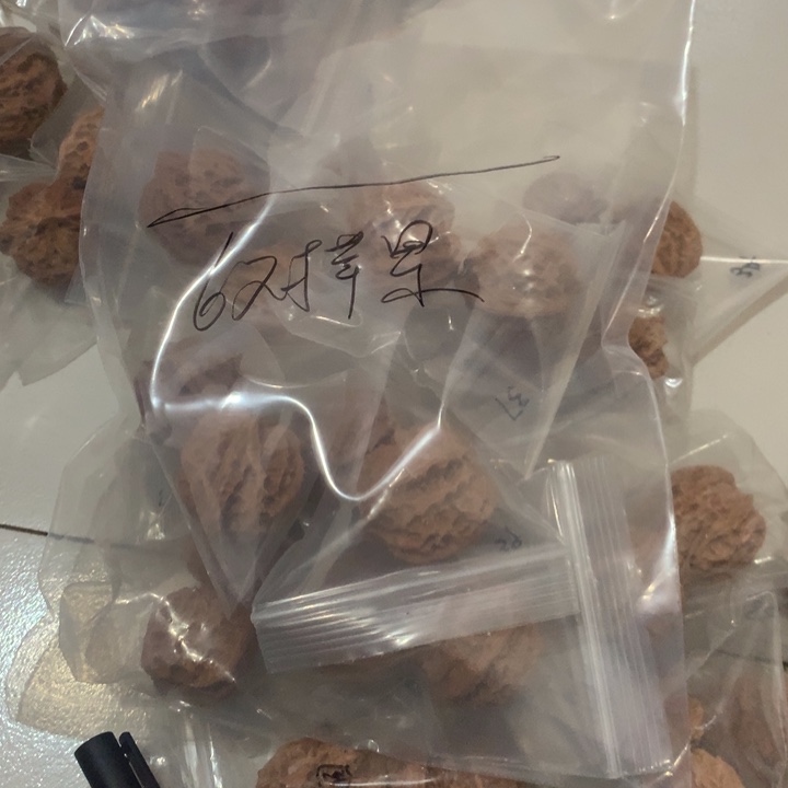 文玩核桃把件生*片6对苹果园