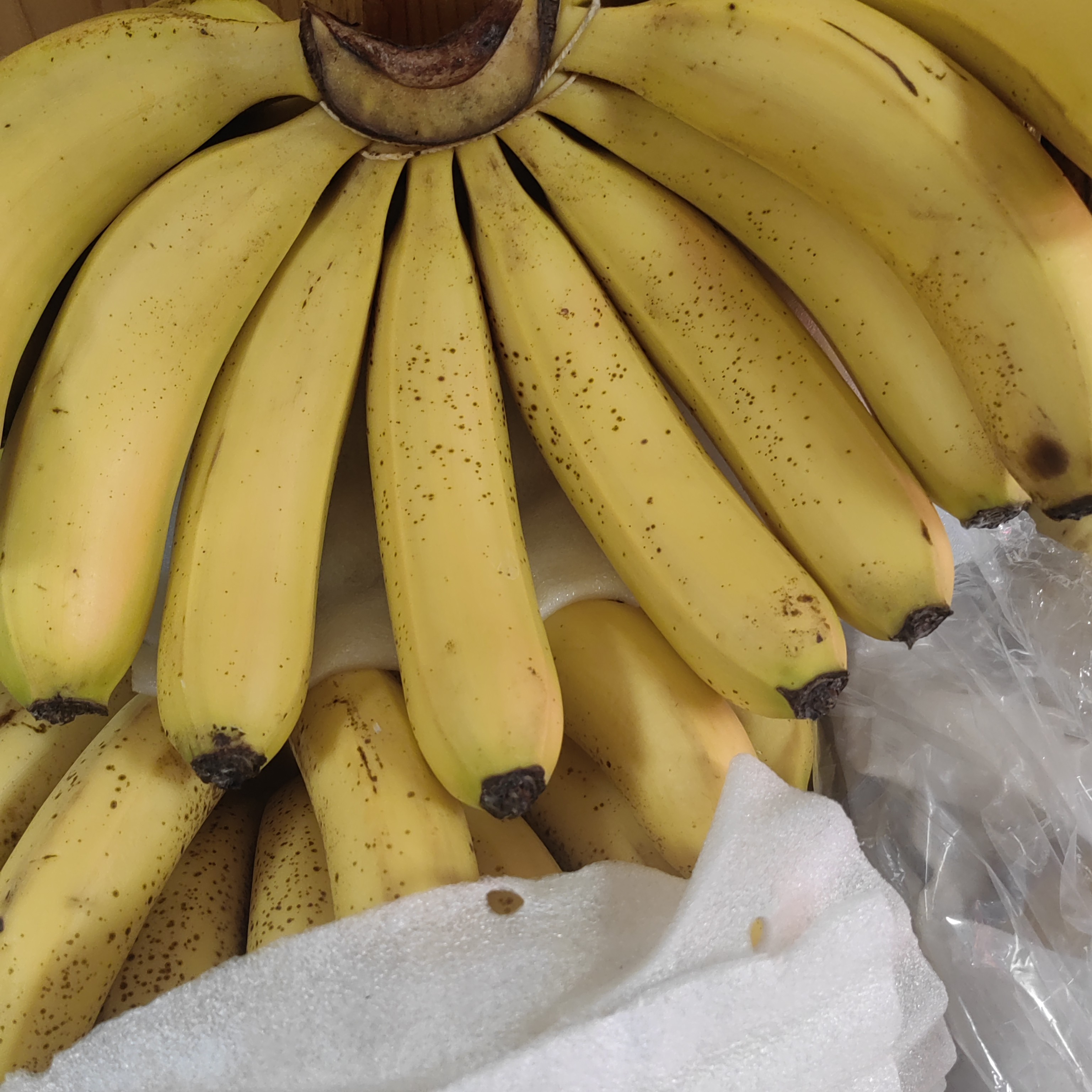 香蕉软糯香甜。公斤香甜蕉广东省