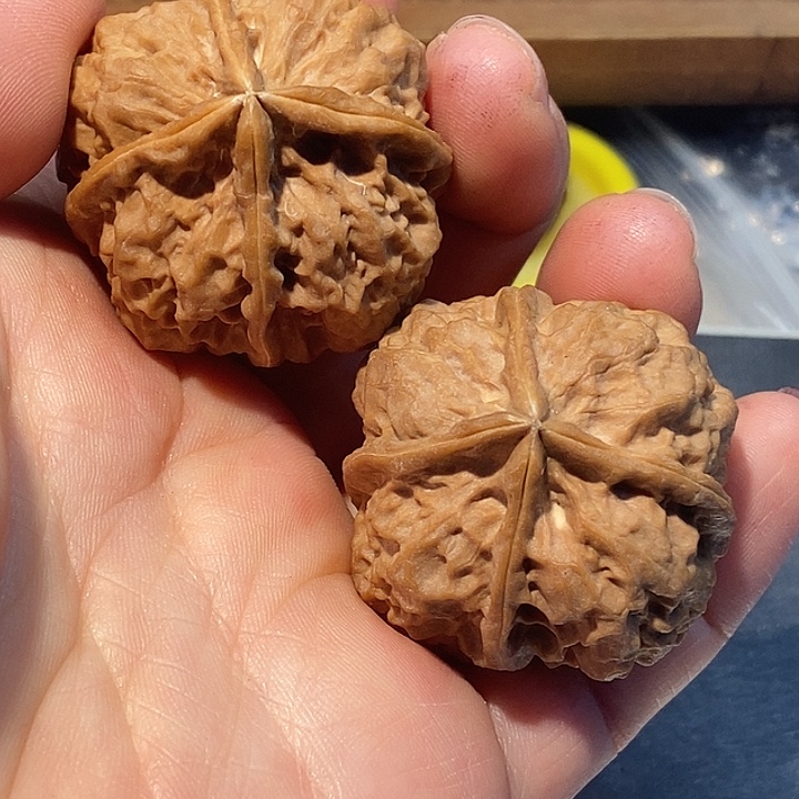 文玩核桃把件788888888888