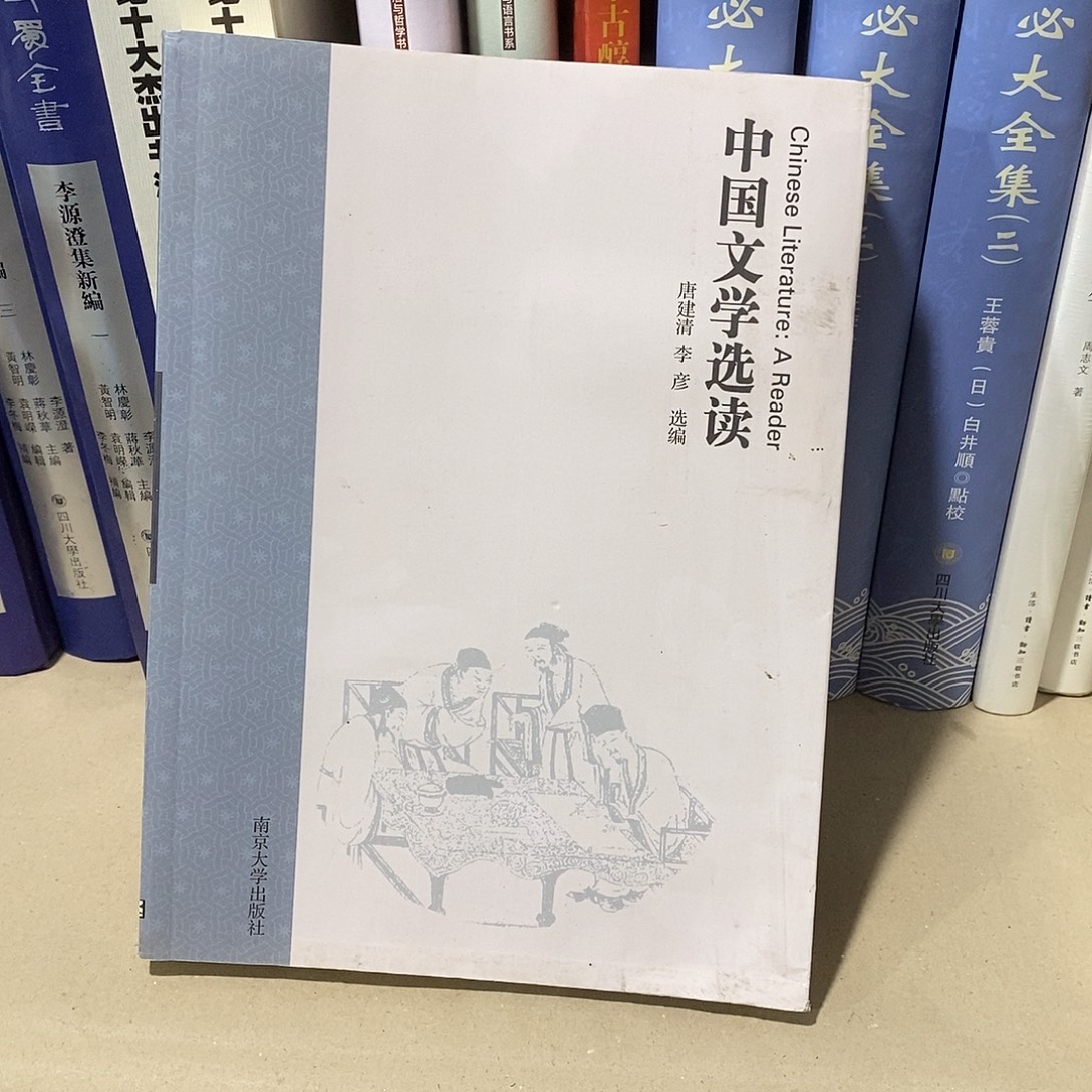 瑕疵 中国文学选读……