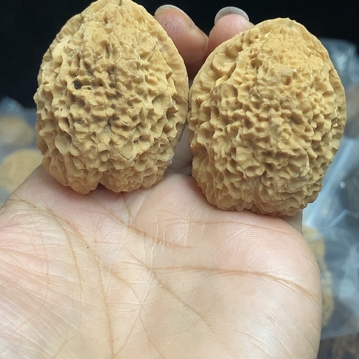 文玩核桃把件云南铁核桃基地100