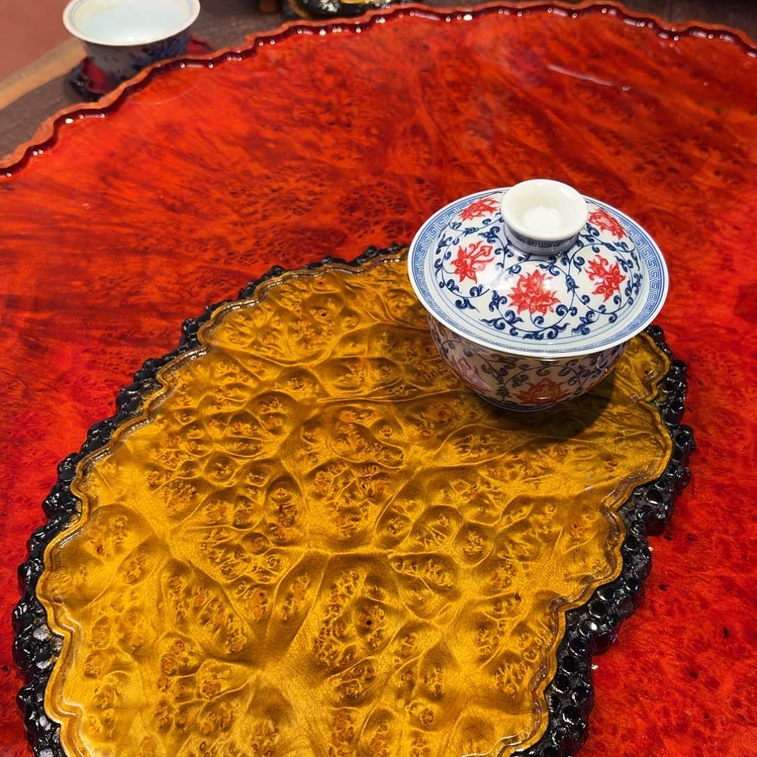 黄金樟开啊健健康康