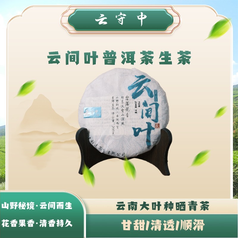 云守中 云间叶 邦东大雪山 普洱生茶200g饼
