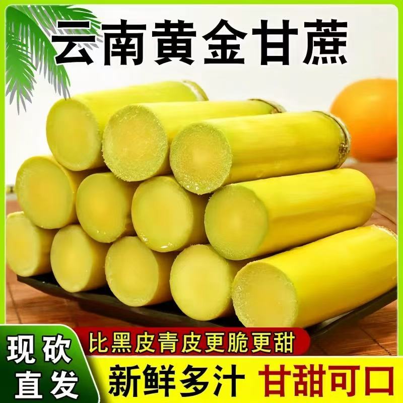 云南当季黄金甘蔗黄皮脆甜甘蔗新鲜水果脆嫩爆汁现砍新鲜批发