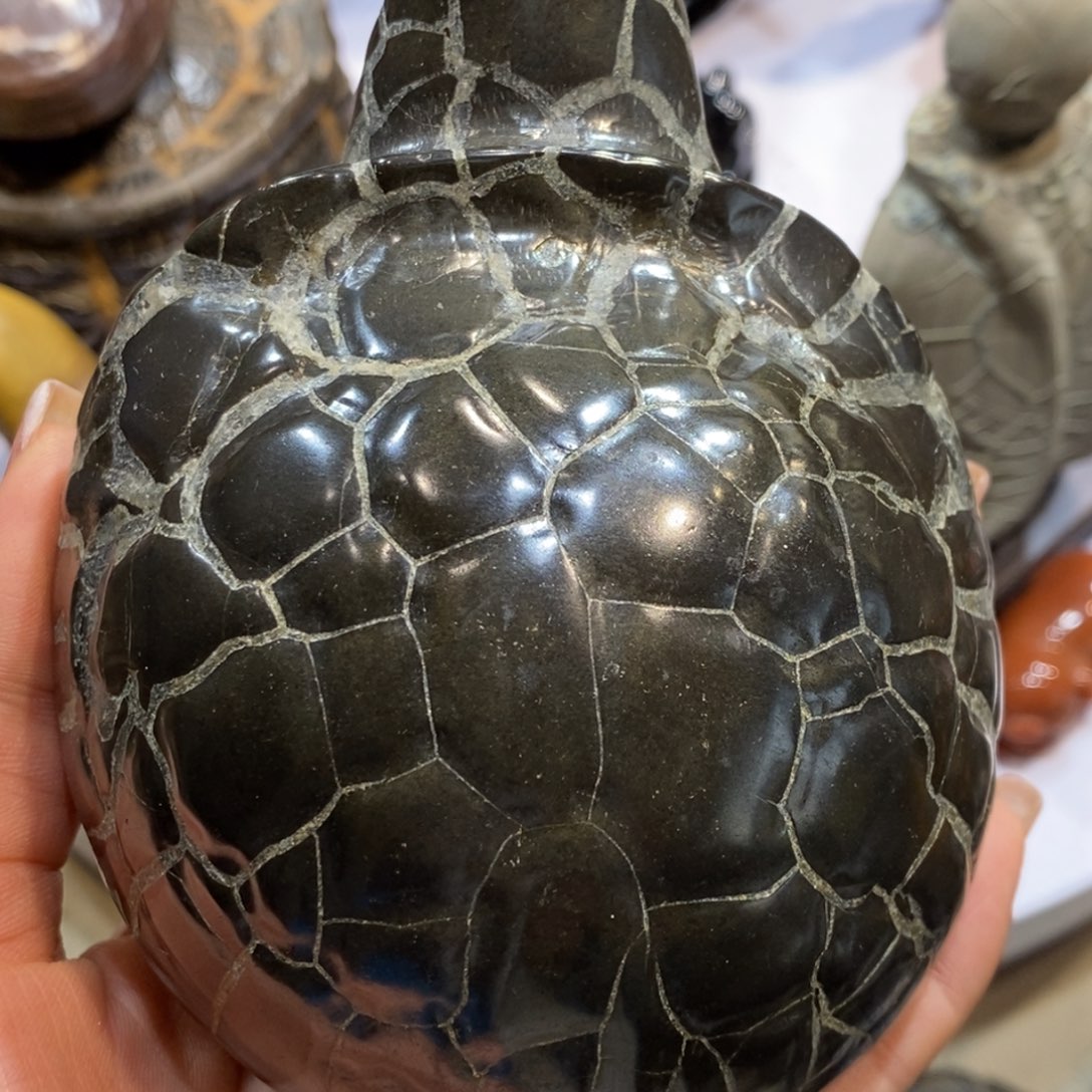 阿***哥龟纹石原产地直播
