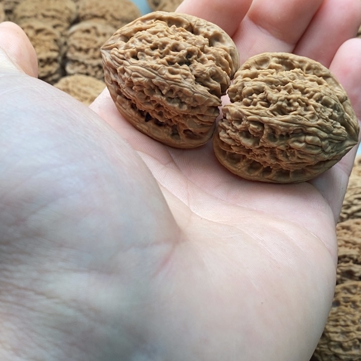 老***人吊坠文玩核桃妖刀拉丝蚂蚁南疆石