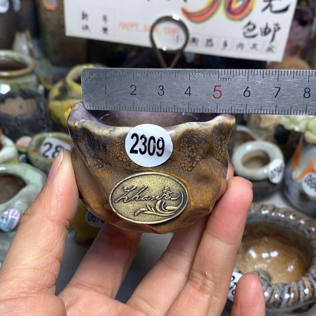 特价花盆拍5送一个小礼物