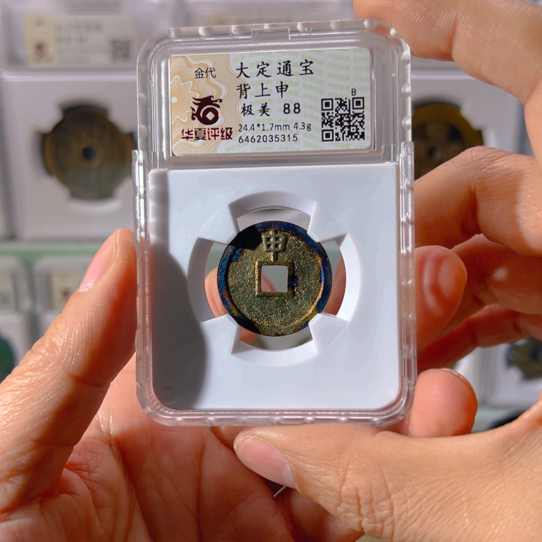 铜大定背上申5315古泉往事