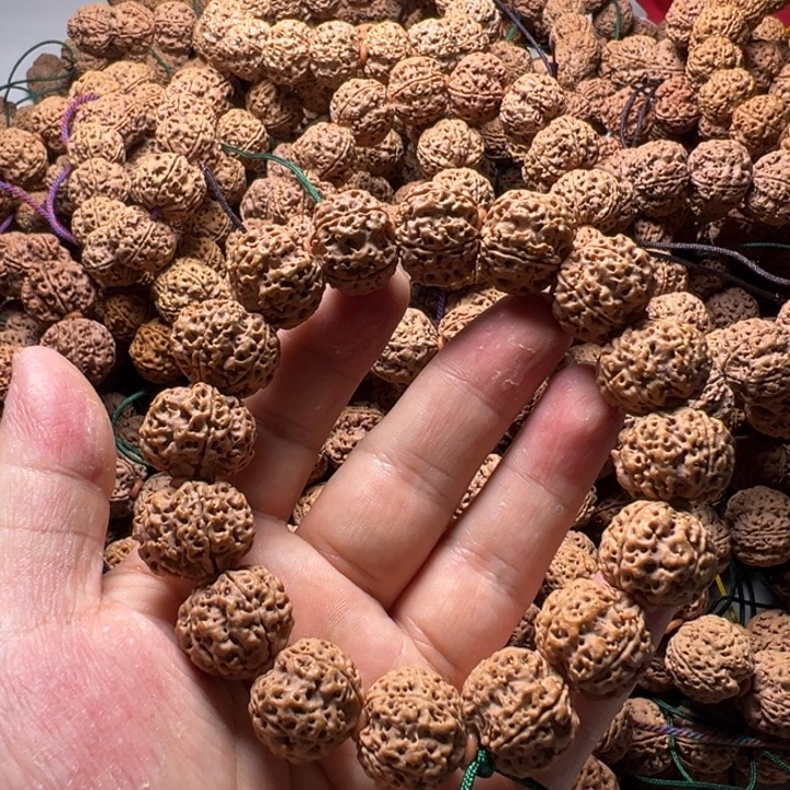 吊坠金刚菩提12号金刚