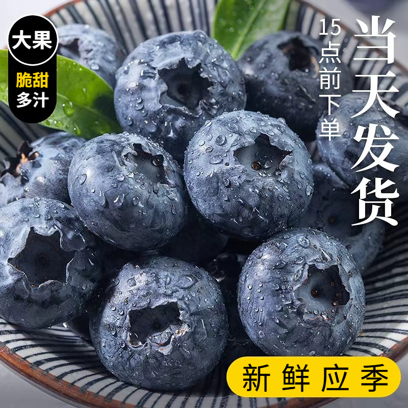 云南蓝莓新鲜水果当季2/4/6盒蓝梅鲜果现摘高山怡颗孕妇整箱包邮