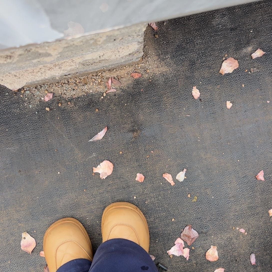 P***y存款多肉。               