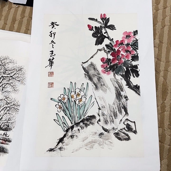 国画花鸟等多种鸟类和动物