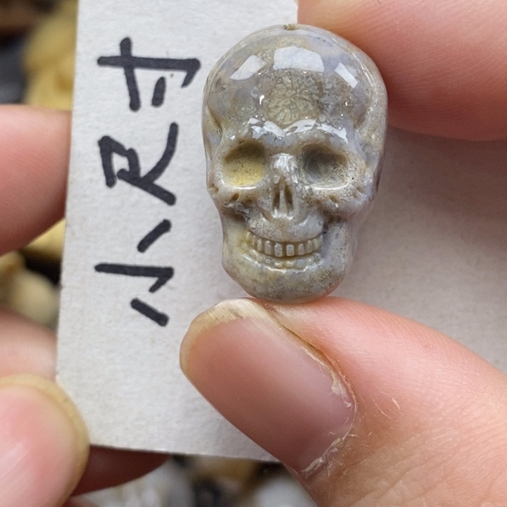 硅化珊瑚（珊瑚玉）未镶嵌颈饰