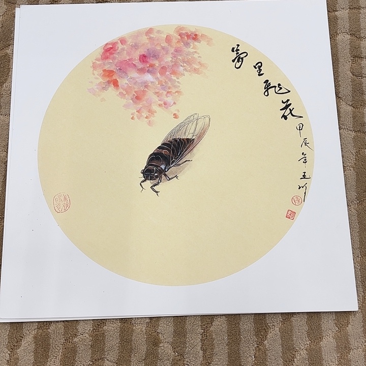 国画花鸟的翅膀和羽毛